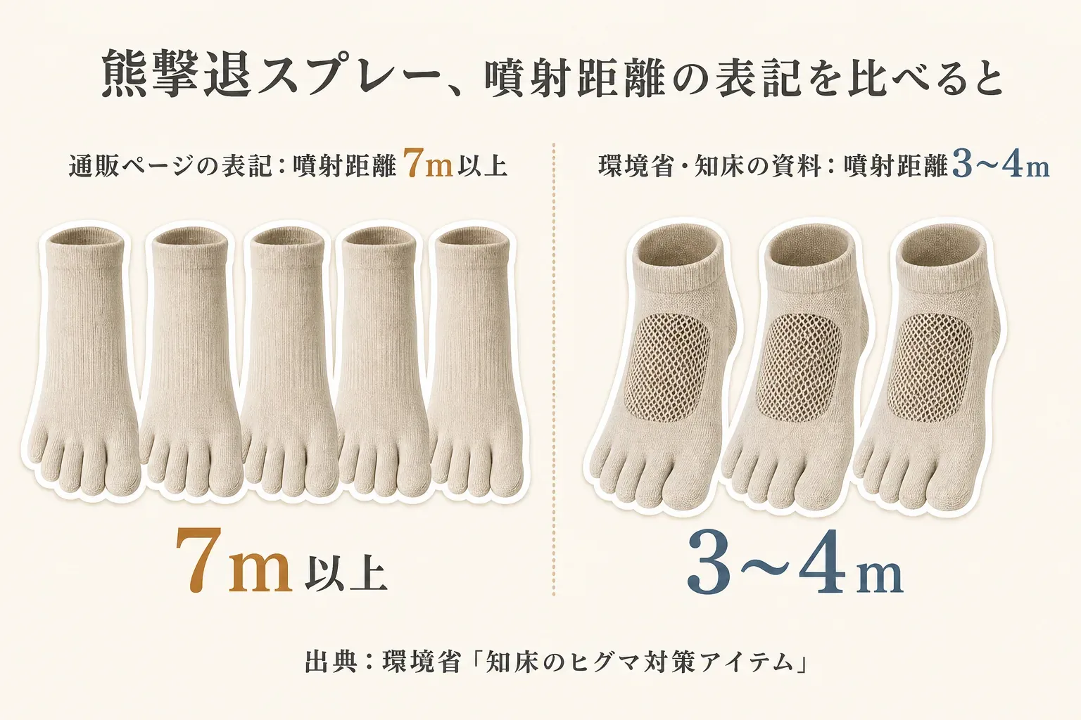 5足セットと3足組などの洗い替えのセット表記、甲メッシュ・極薄手・補強表示など商品説明で確認するラベルを比べる図
